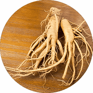 ג'ינסנג קוריאני